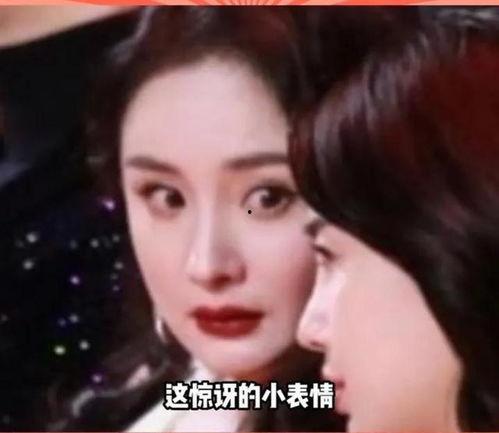 娱乐圈吃瓜教主小说