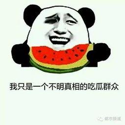 女生说的吃瓜是啥意思,揭秘“吃瓜”背后的网络流行语奥秘