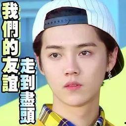直播吃娱乐圈瓜是真的假的,娱乐圈直播吃瓜真相揭秘