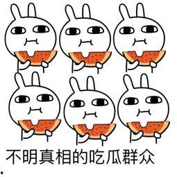 坐等吃瓜表情包,揭秘网络表情包的魅力