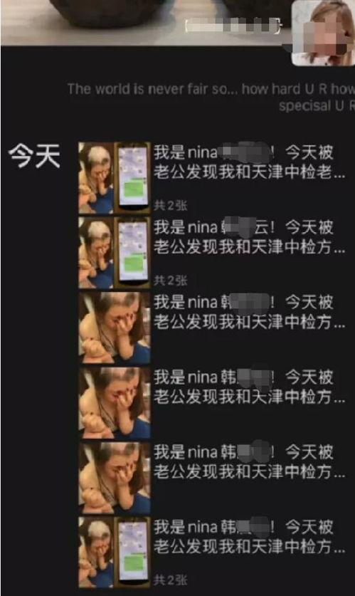 娱乐圈吃瓜pdf,PDF文件深度解析